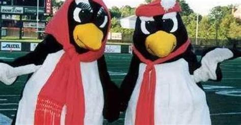 Penguin Mascot Apparel for Parades and Festivals